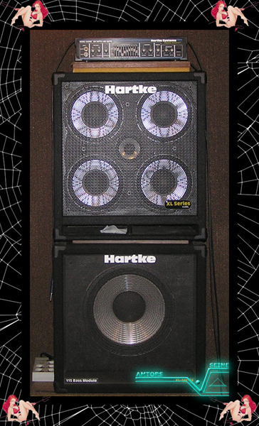   Hartke    Amtors Seine